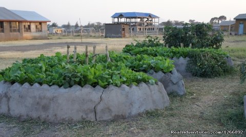 Gardens at Good Hope School