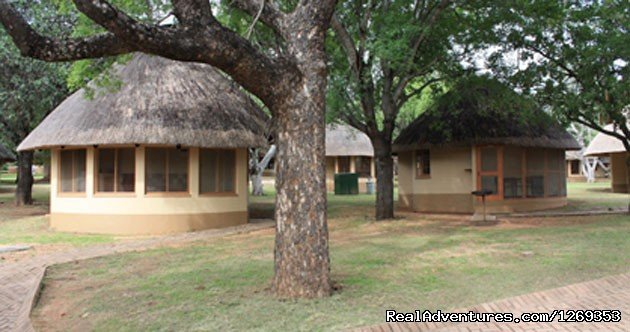 Chalets | Kruger Park Safaris | Image #8/15 | 