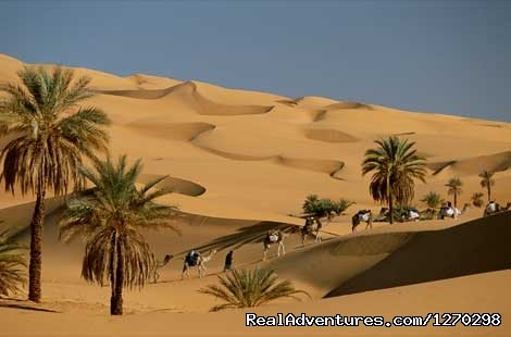 camel trek in the Erg Chebbi dunes | Best Of Morocco Holidays | Marrakech, Morocco | Sight-Seeing Tours | Image #1/16 | 