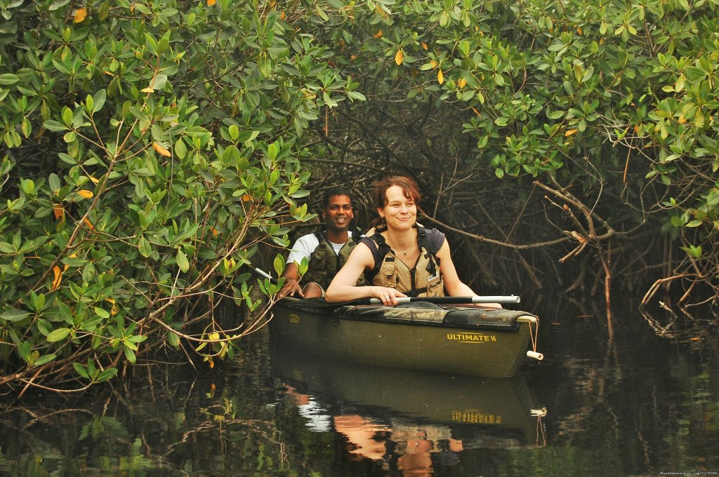 Mangrove Tunnel Kayak ECO Tour | Image #4/8 | 