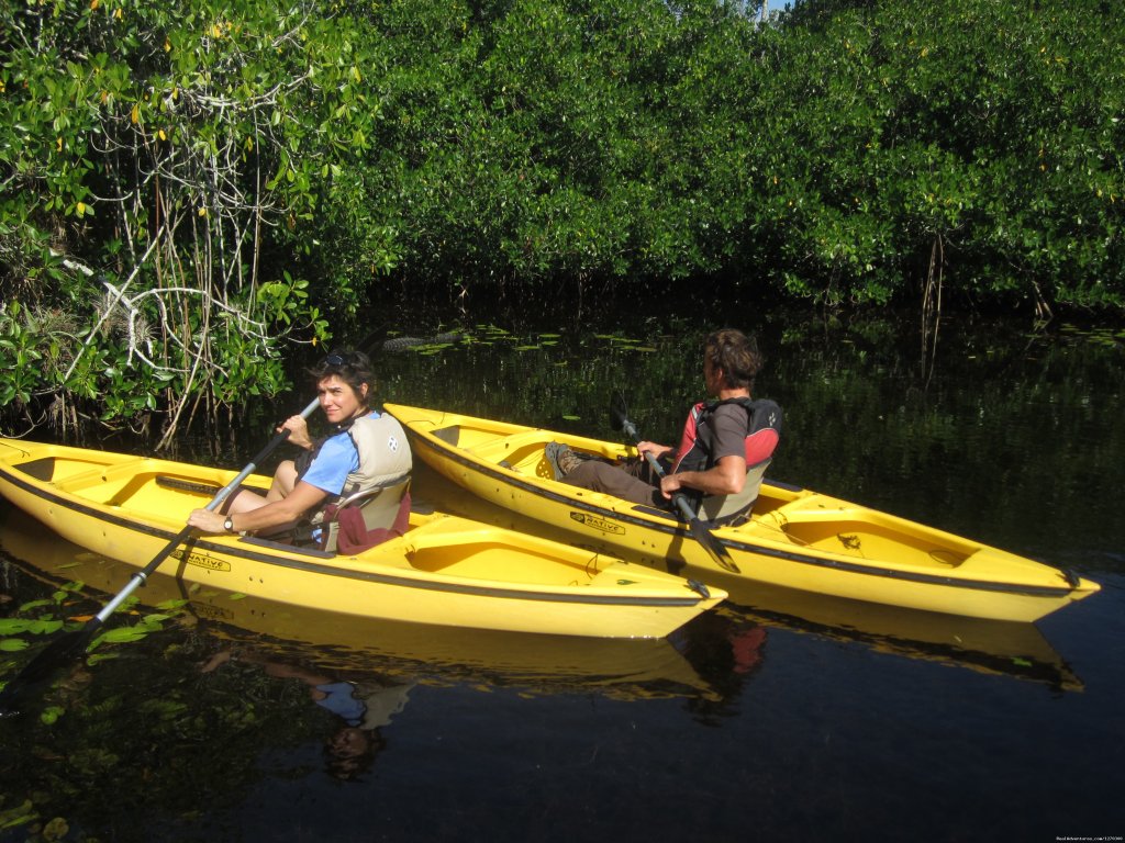 Mangrove Tunnel Kayak ECO Tour | Image #7/8 | 