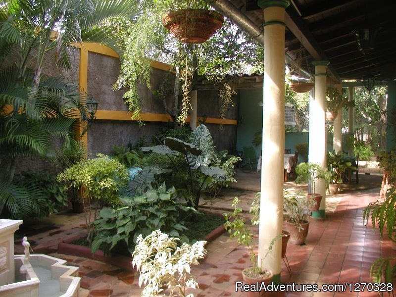 Patio | Hostal Buen Viaje ,Remedios,Cuba | Image #6/12 | 