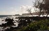 Road to Hana Tour on Maui Hawaii | Wailuku, Hawaii