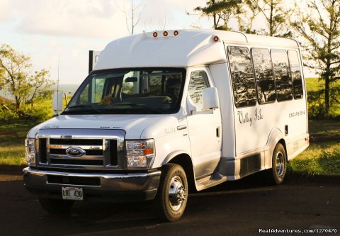 Custom Cruiser Vans