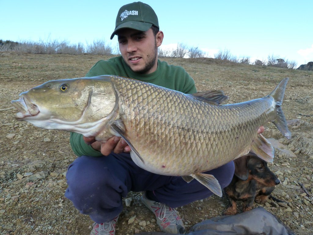 Barbel Comizo Fishing in Spain | Fishing Barbel Comizo | Badajoz, Spain | Fishing Trips | Image #1/4 | 