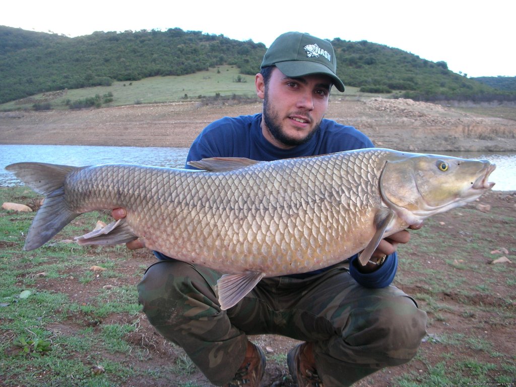 Fishing Barbel Comizo | Image #2/4 | 