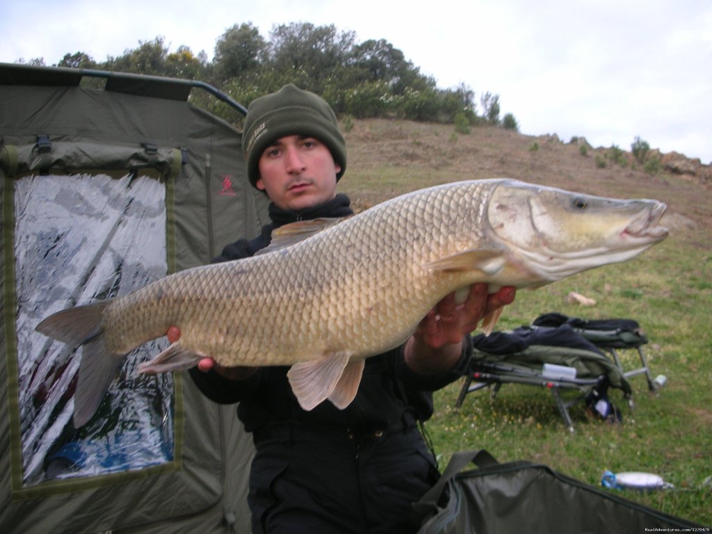 Fishing Barbel Comizo | Image #4/4 | 