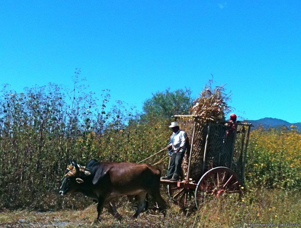 Experience on Horseback A Timeless Way of Life | Oaxaca Adventure Stay | Image #17/20 | 