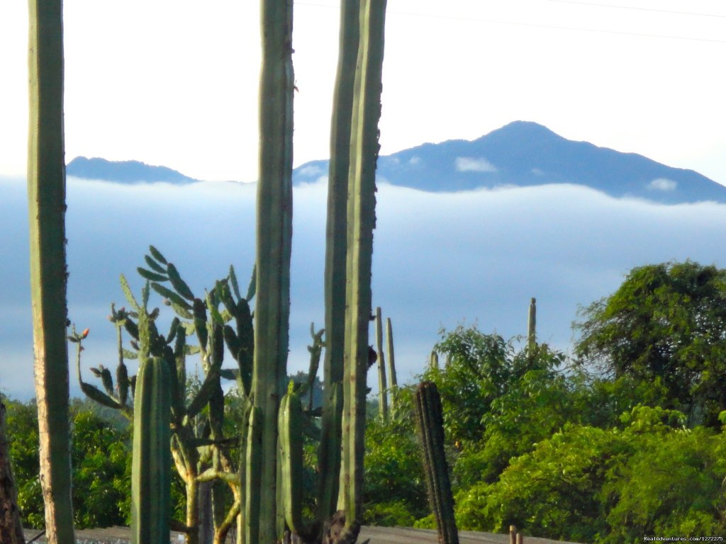 A View from the Dining Terrace | Oaxaca Adventure Stay | Image #16/20 | 