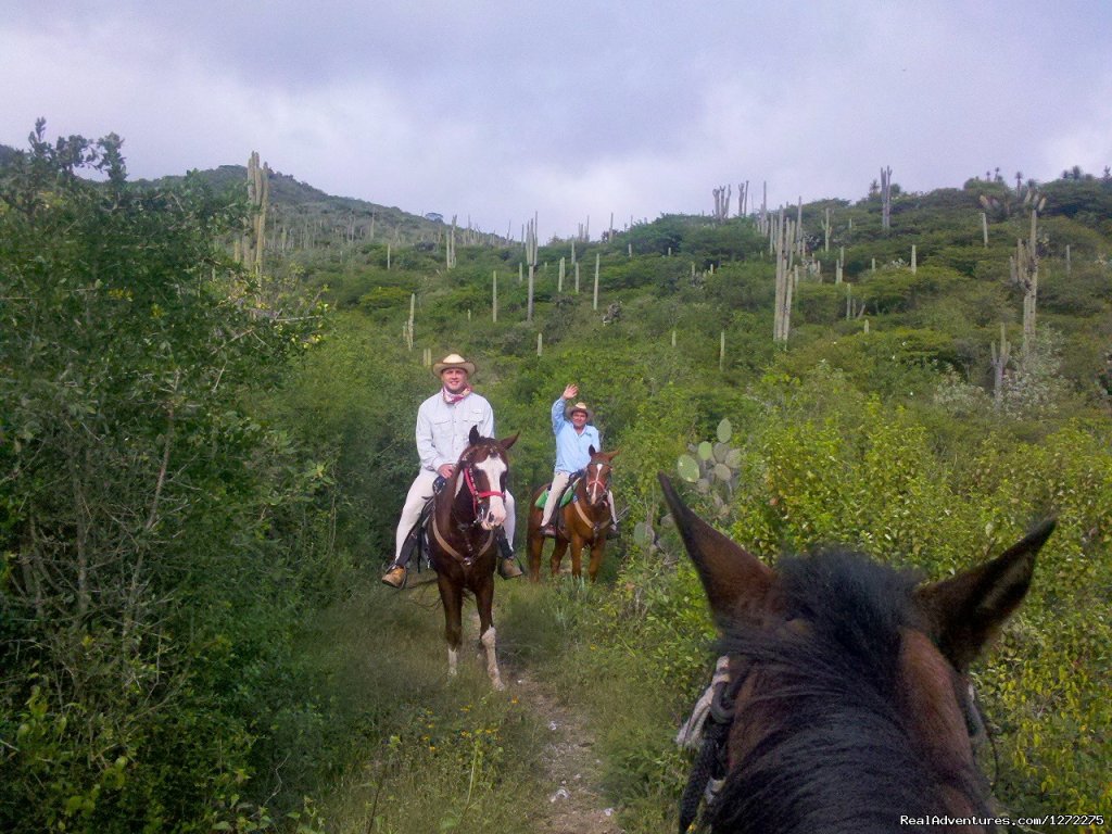 Descending the Tetecho Cactus Trail | Oaxaca Adventure Stay | Image #15/20 | 