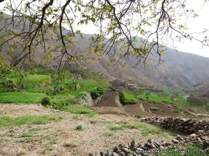 Trekking In Atlas Mountains