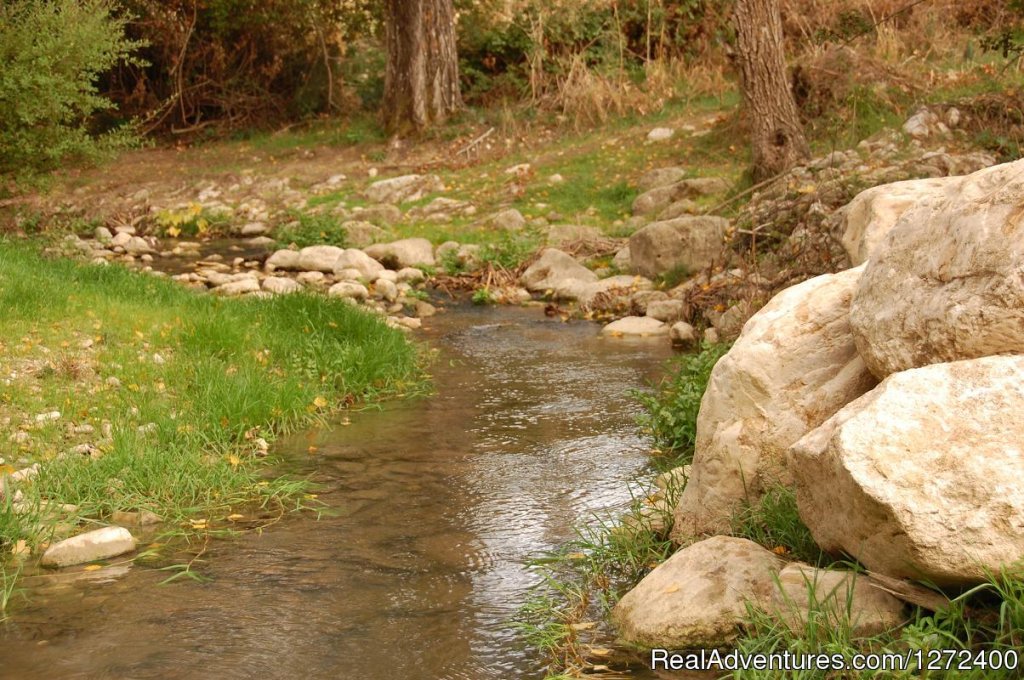 Beautiful Farm Holiday in Corleone, Sicily | Image #17/25 | 