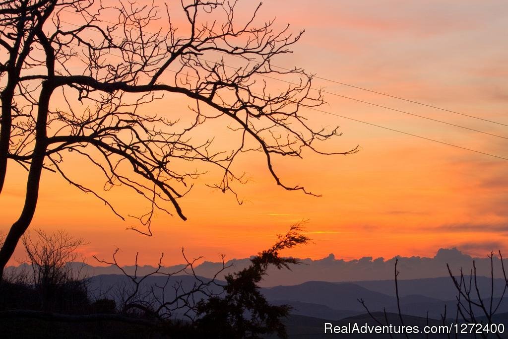 Beautiful Farm Holiday in Corleone, Sicily | Image #19/25 | 