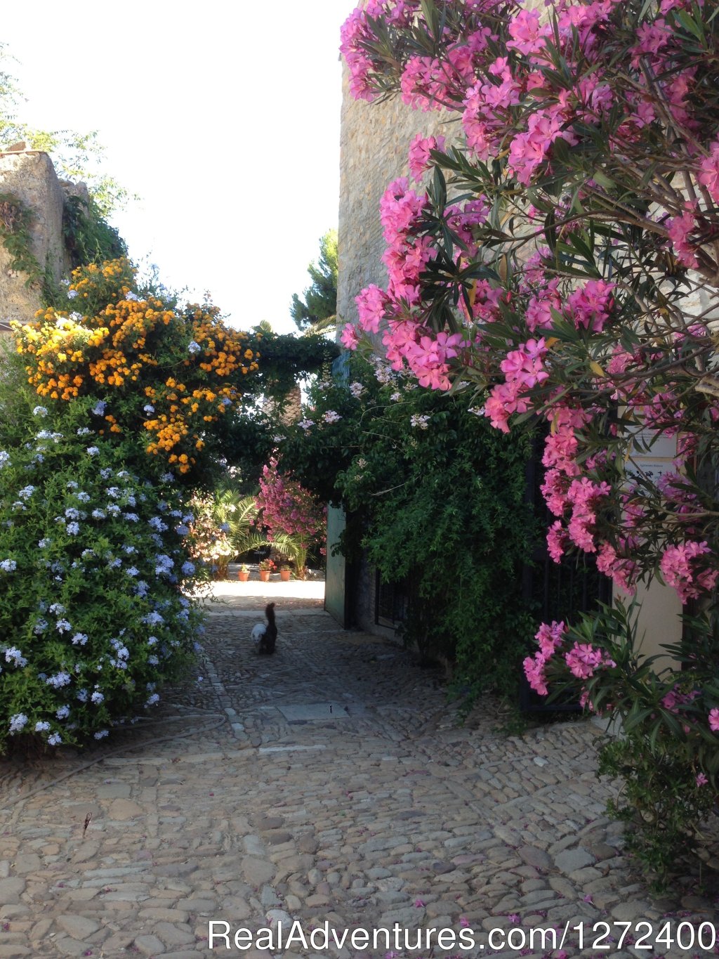 Beautiful Farm Holiday in Corleone, Sicily | Image #20/25 | 