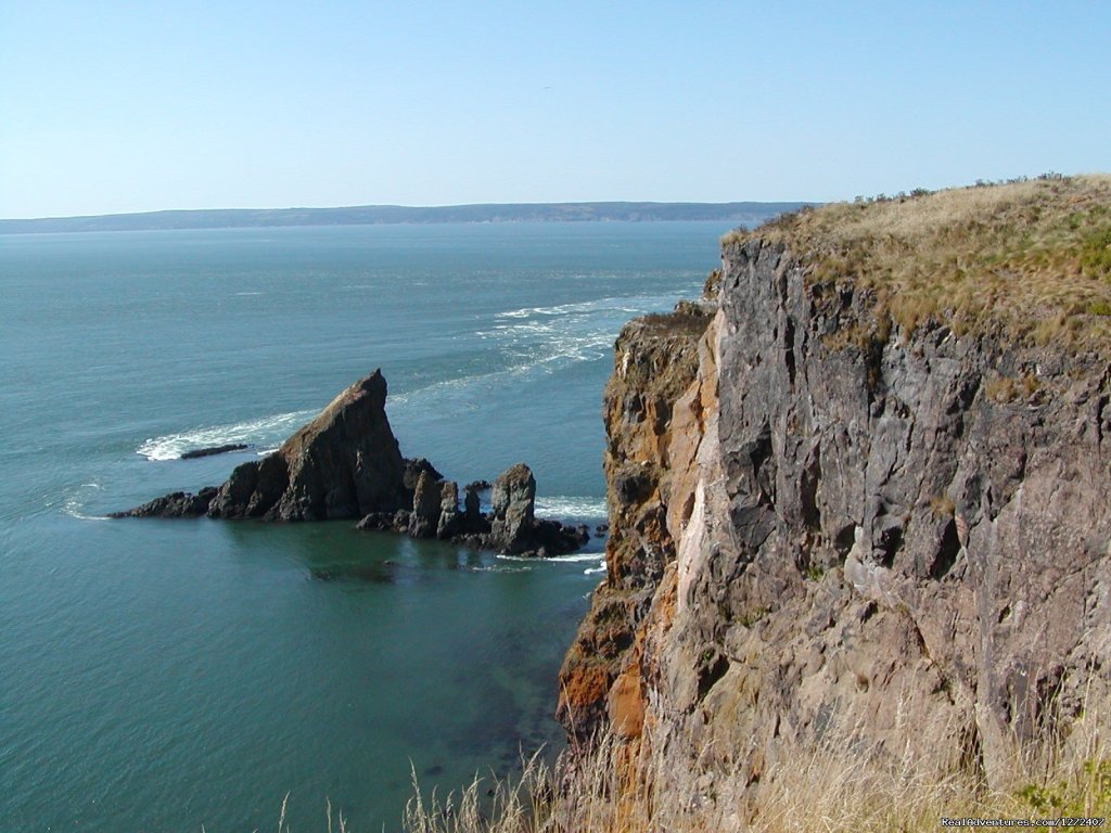 Cape Split hike | Fundy & Glooscap Hike with Freewheeling Adventures | Image #4/4 | 