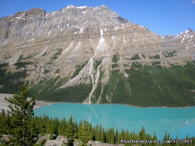 Cycle Jasper to Banff with Freewheeling Adventures | Banff, Alberta  | Bike Tours | Image #1/4 | 