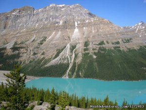 Cycle Jasper to Banff with Freewheeling Adventures