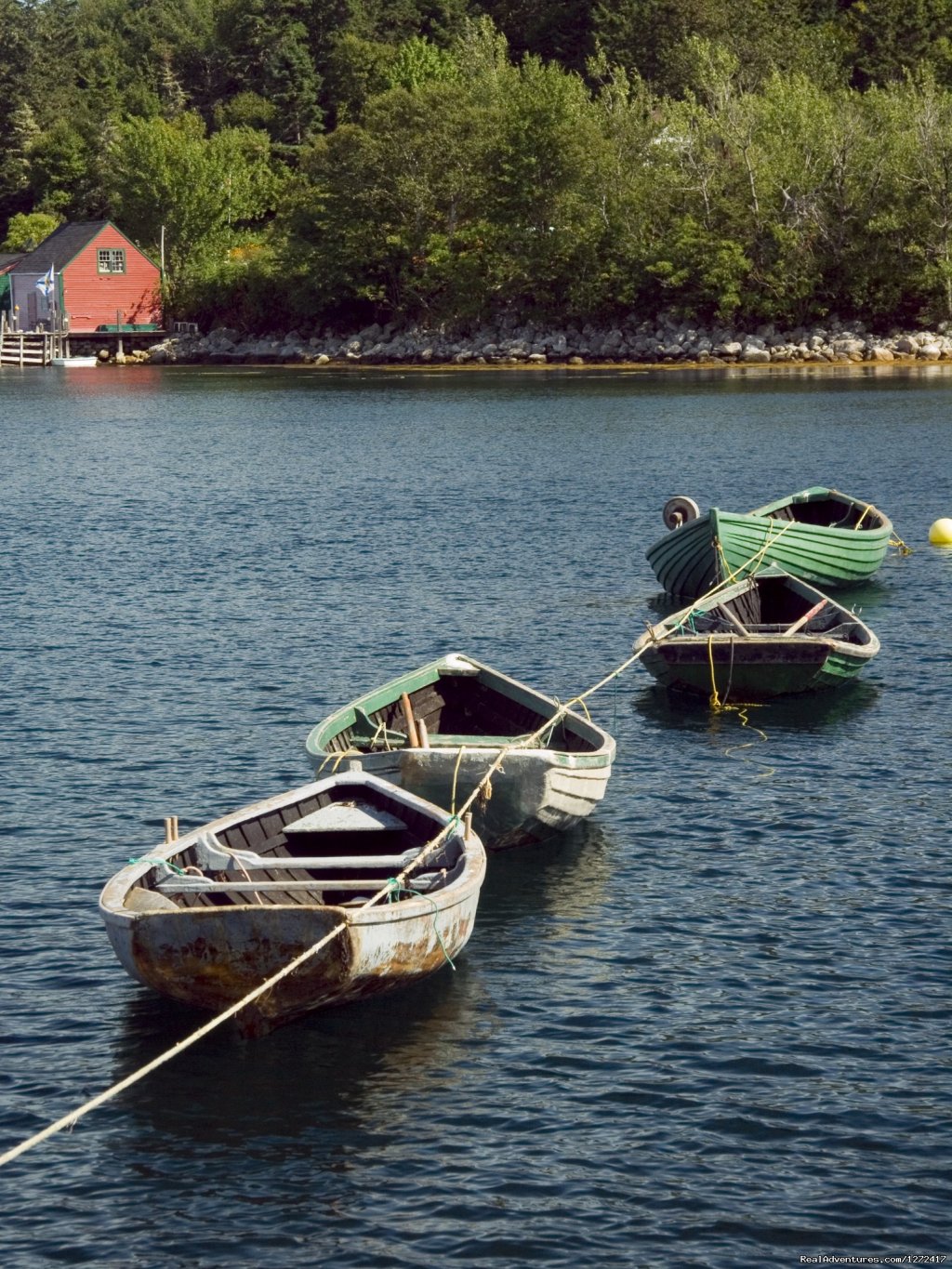 South Shore & Fundy Cycle - Freewheeling Adventure | Image #3/6 | 