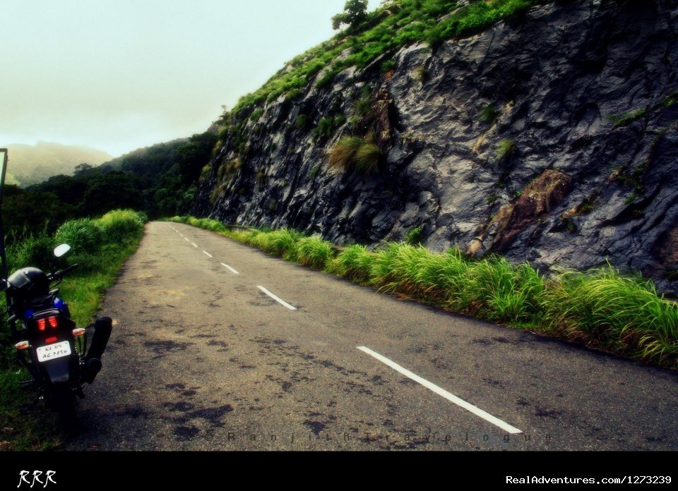 Journey through the Ghats | Munnar Holidays | Image #2/2 | 