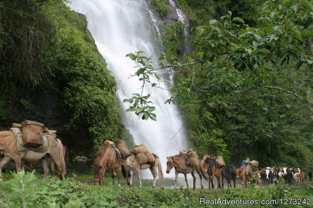 Bhutan Travel Service | Image #4/10 | 