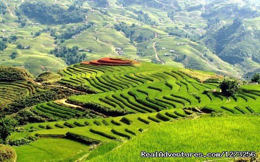 Sapa | Christmas and New Year in Vietnam (9 nights) | Image #5/8 | 