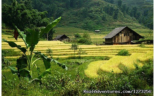 Sapa trekking | Christmas and New Year in Vietnam (9 nights) | Image #7/8 | 