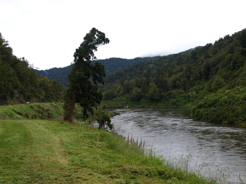 Driving through the Buller Gorge | Self Drive and Guided New Zealand Tours | Image #9/19 | 