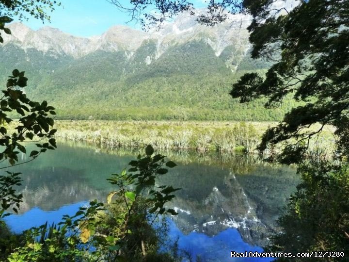 Eglington Valley Milford Sound | Self Drive and Guided New Zealand Tours | Image #16/19 | 