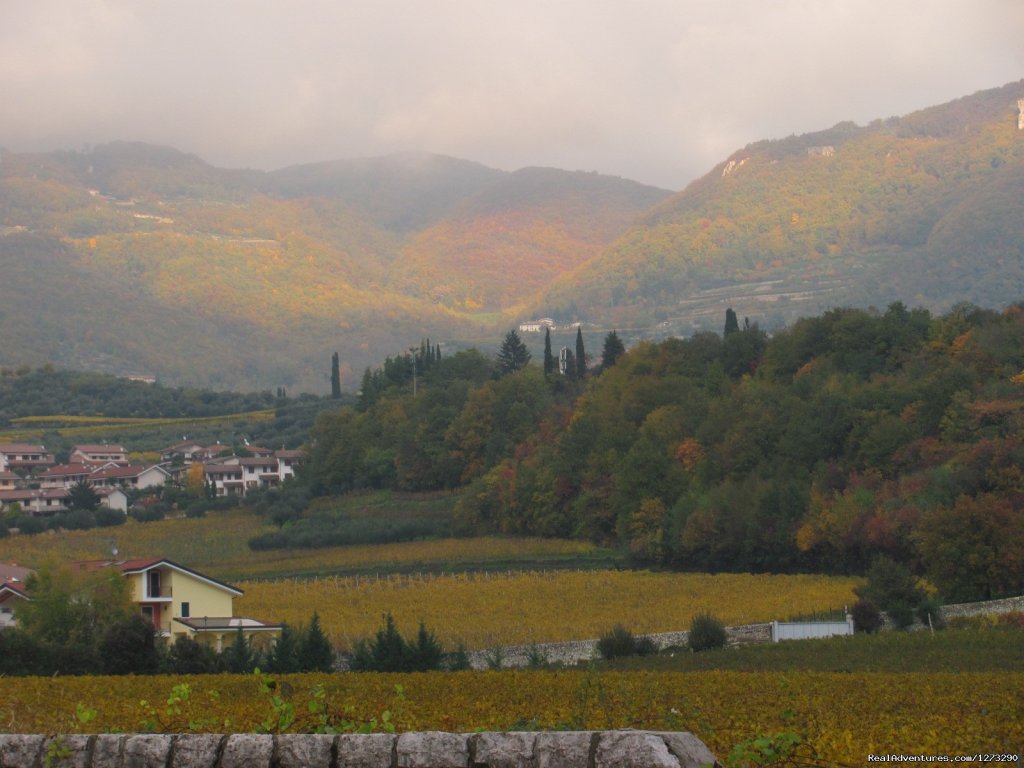 Negrar Valley | Mario Apartment -Valpolicella wine region | Image #3/6 | 