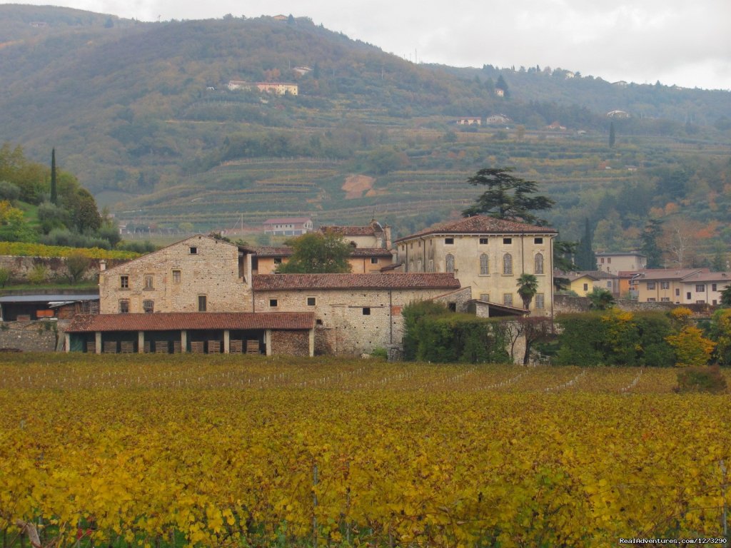 Negrar old building | Mario Apartment -Valpolicella wine region | Image #5/6 | 