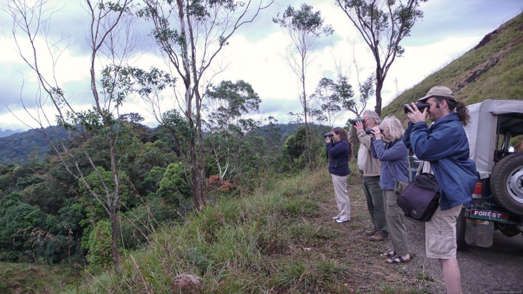 Birding group in the western ghats | Wildlife & Birding Adventures | Image #12/12 | 