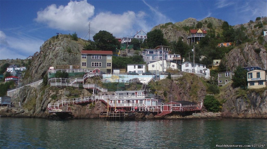 St. John's and Trinity Bike - Freewheeling Adv. | St. Johns, and Trinity, NF, Newfoundland  | Bike Tours | Image #1/9 | 