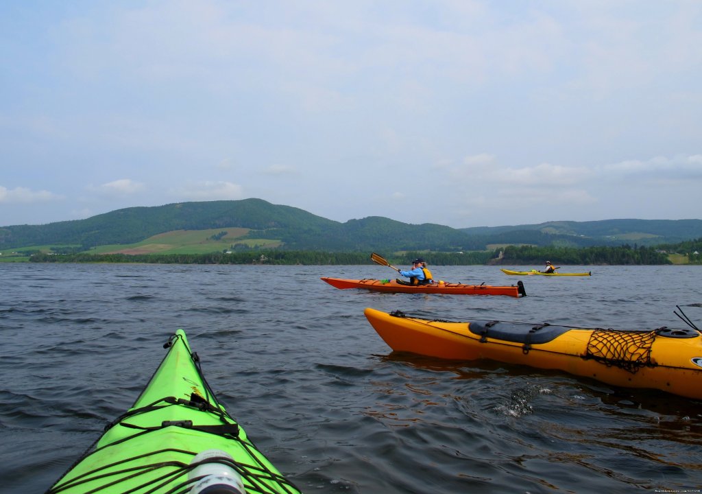 Nova Scotia Outer Islands Seakayak - Freewheeling | Image #2/9 | 