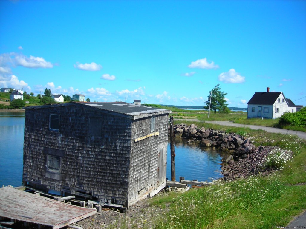 Nova Scotia Outer Islands Seakayak - Freewheeling | Image #3/9 | 