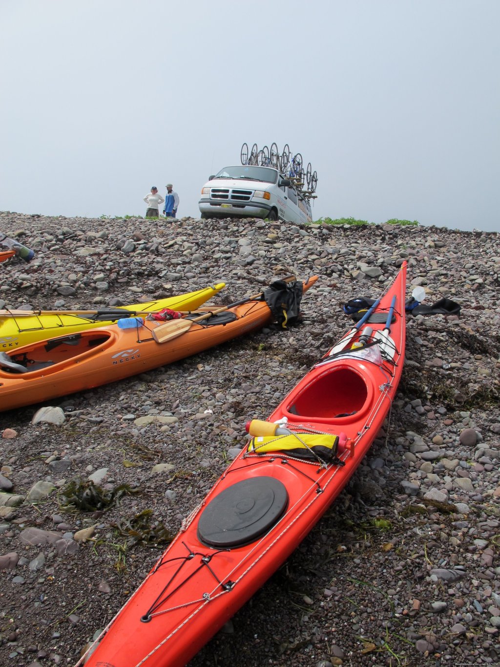 Nova Scotia Outer Islands Seakayak - Freewheeling | Image #6/9 | 