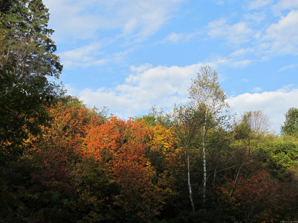 Quebec: Bas-Saint-Laurent Bike - Freewheeling Adv. | Image #10/11 | 