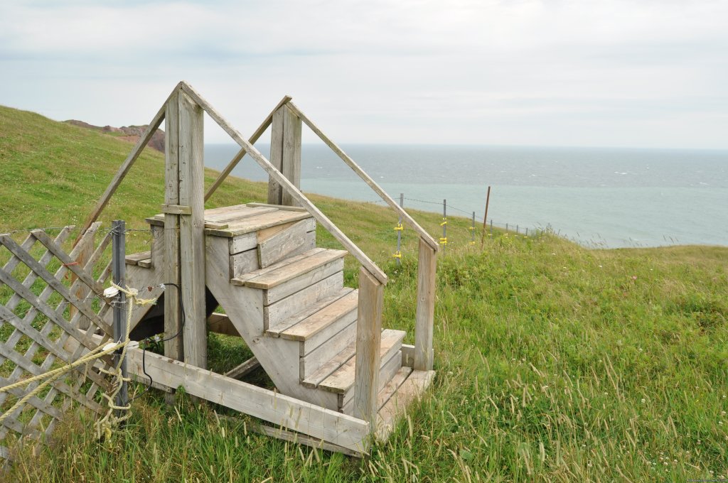 Quebec: Magdalen Islands Multisport - Freewheeling | Image #2/15 | 