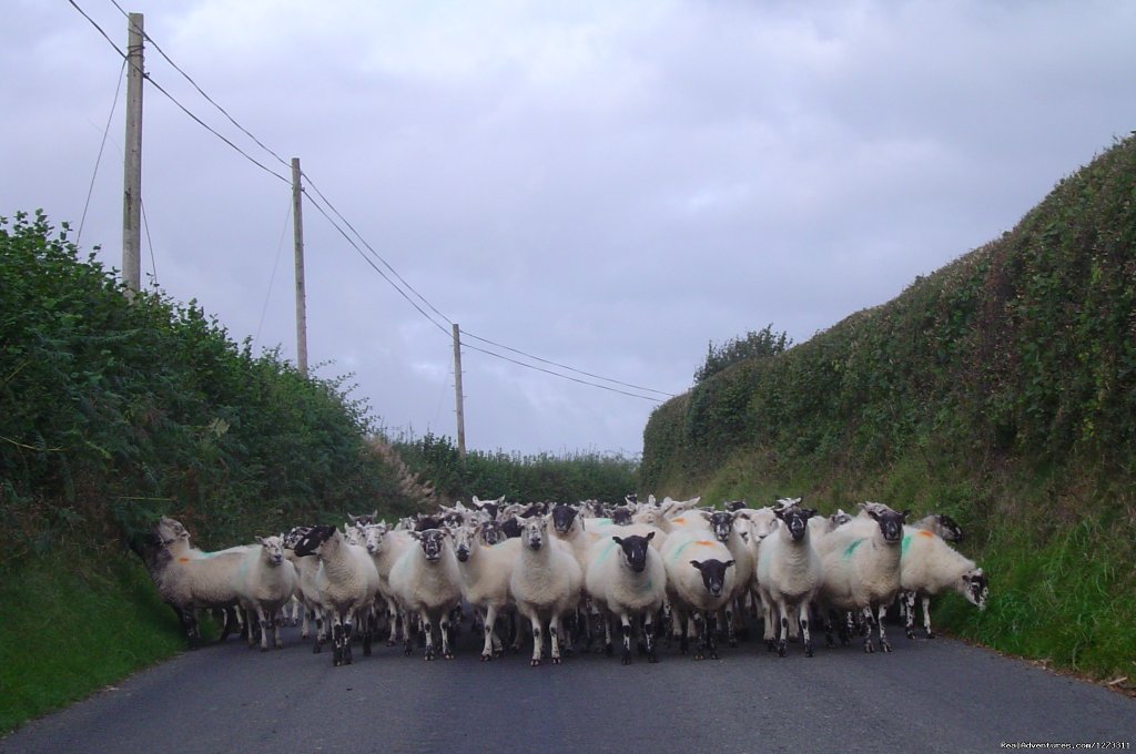 Wales: Beacons to Snowdon Bike | Image #6/13 | 