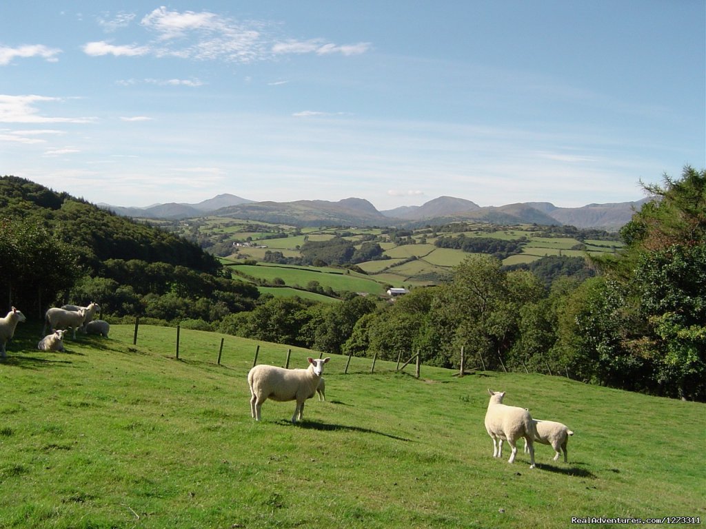 Wales: Beacons to Snowdon Bike | Image #12/13 | 