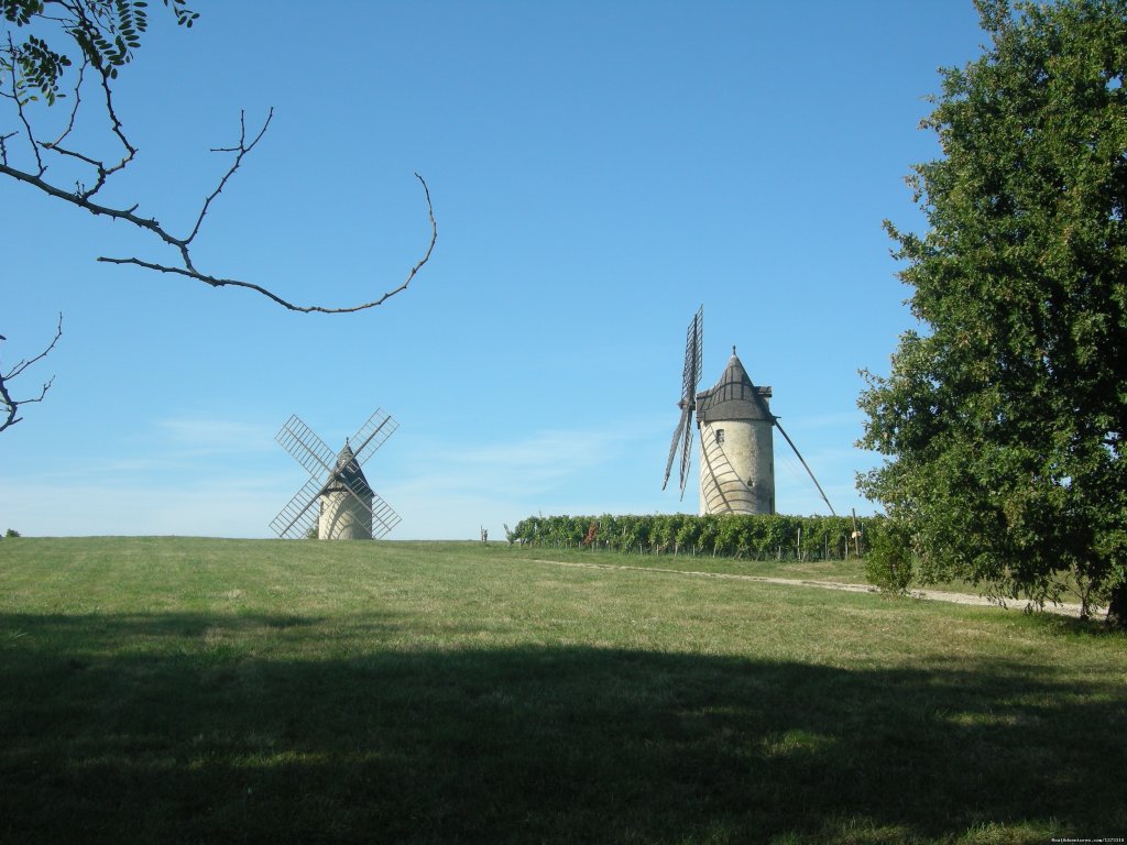 France: Bordeaux to Carcassonne Canal Bike | Image #6/9 | 