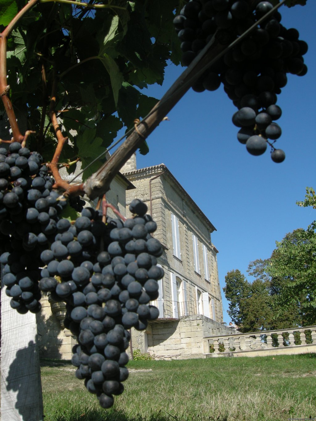 France: Bordeaux to Carcassonne Canal Bike | Image #8/9 | 