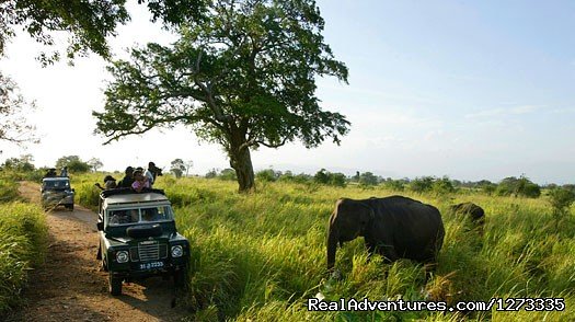 Haniffas Holidays & Tours - Sri Lanka | Haniffas Holidays & Tours | Image #14/24 | 