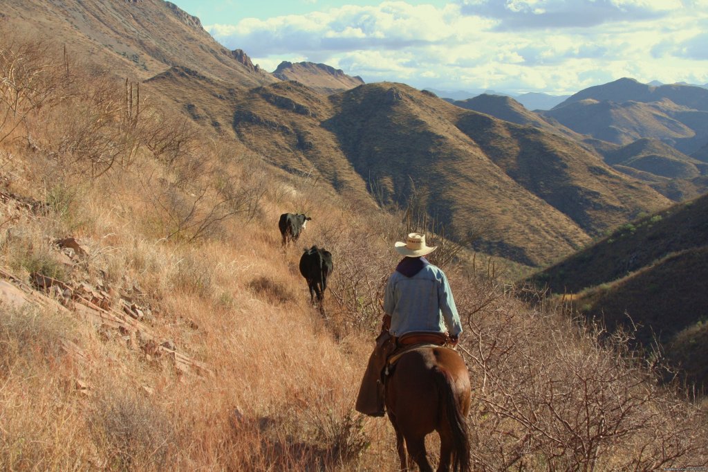 Rancho Los Banos Adventure Guest Ranch | Image #12/24 | 