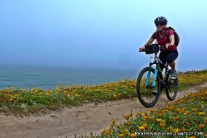 Atlantic Trails MTB 8D