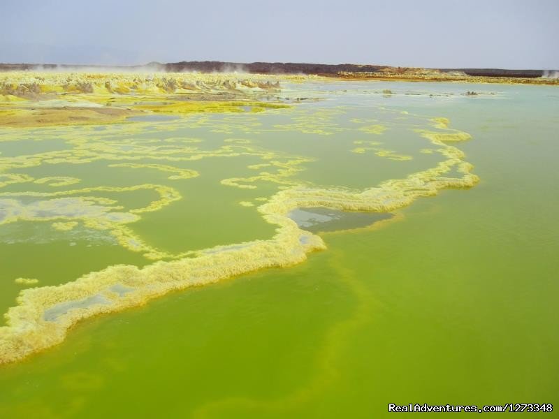 Dallol | Ethiopia Tour and Travel Agent | Image #11/21 | 