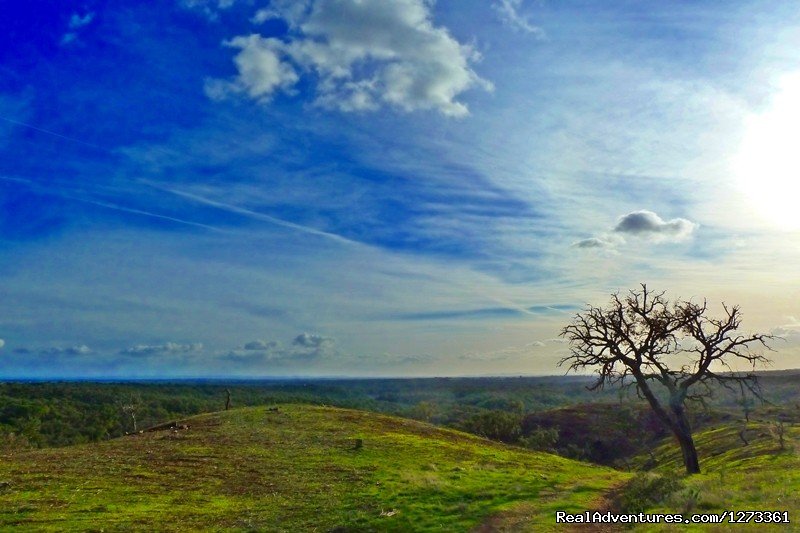 Alentejo Hilly region | Portugal Wild Coast Hike 7D | Zambujeira do Mar, Portugal | Hiking & Trekking | Image #1/3 | 