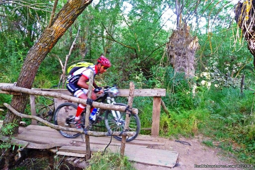 Single track in Avila, Spain | Madrid-Lisbon MTBike | Image #6/17 | 