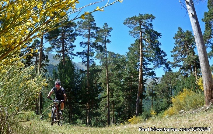 Epic MTBike trough Iberian Mountains and Forests | Madrid-Lisbon MTBike | Image #10/17 | 