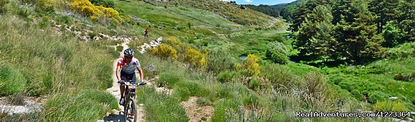 Single tracks in Gredos Mountains | Madrid-Lisbon MTBike | Image #12/17 | 