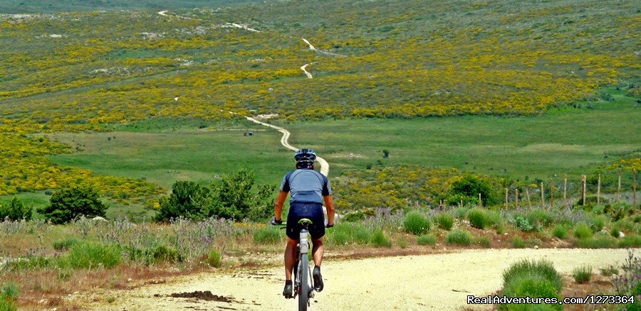 Ride this | Madrid-Lisbon MTBike | Image #17/17 | 